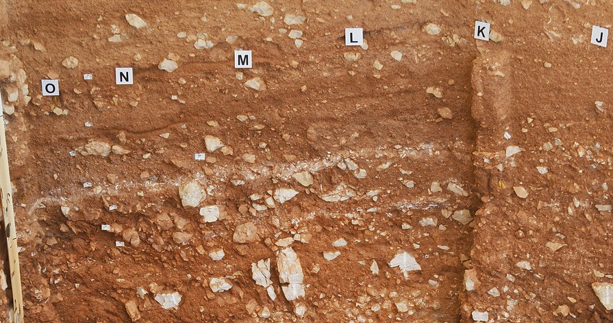 Estratos geológicos de Atapuerca